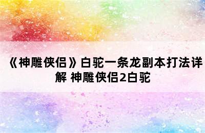 《神雕侠侣》白驼一条龙副本打法详解 神雕侠侣2白驼